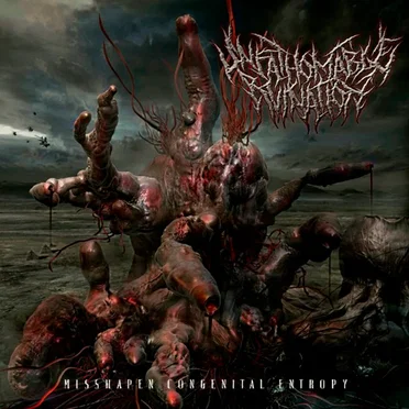 Misshapen Congenital Entropy