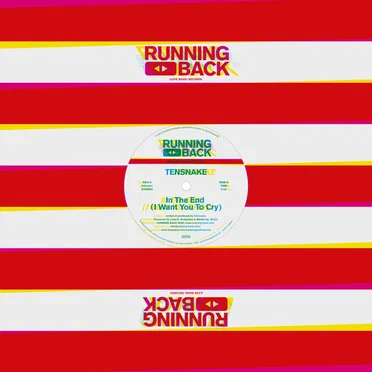 In the End (I Want You to Cry)