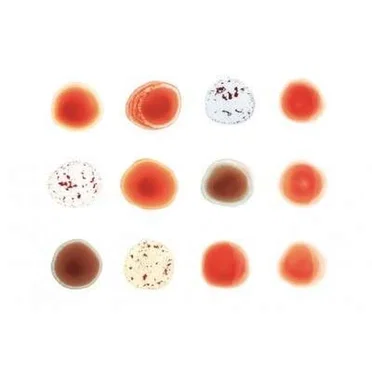 Scratch My Back / And I’ll Scratch Yours