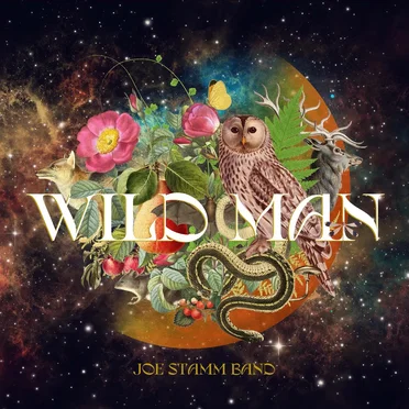 Wild Man by Joe Stamm Band - album cover