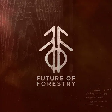 Carry by Future Of Forestry - album cover