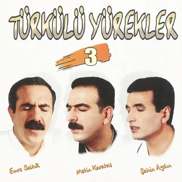 Türkülü Yürekler 3 by Various Artists - album cover