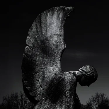 Ashes