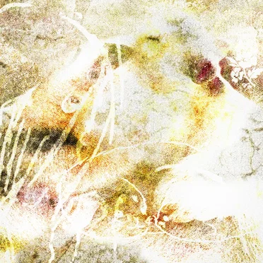 comfort in knowing it's all over, longing for what is yet to come