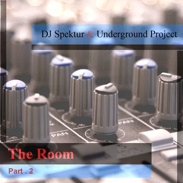 The Room, Pt. 2 by DJ Spektur - album cover