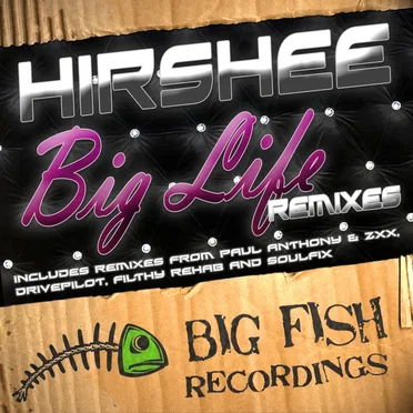 Big Life Remixes by Hirshee - album cover