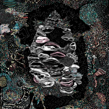 Comfort Creature by Comfort Creature - album cover