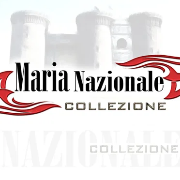 Collezione