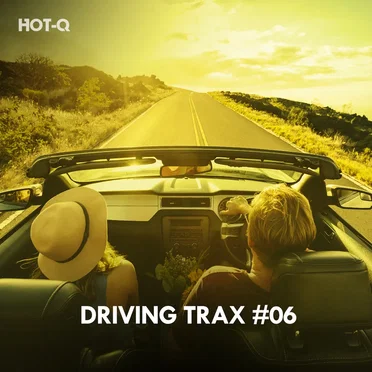 Driving Trax, Vol. 06 by Various Artists - album cover