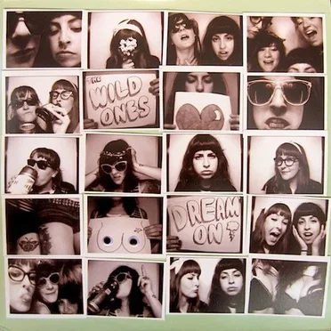 Dream On by The Wild Ones - album cover