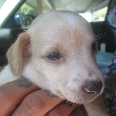 Welcome Home Tator~!