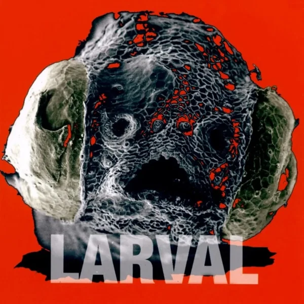 Larval