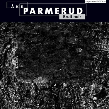Bruit noir