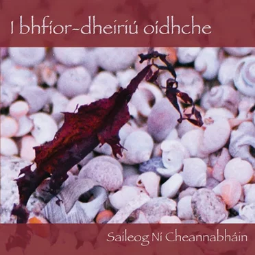 i bhfior-dheiriú oidhche by Saileog Ní Cheannabháin - album cover