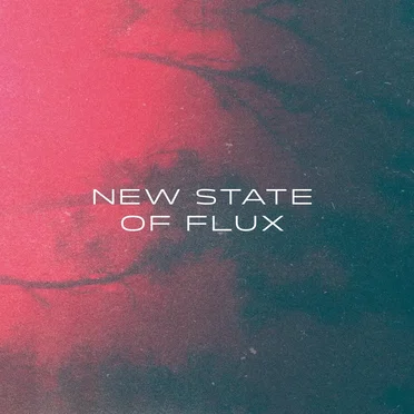 New State of Flux by Various Artists - album cover
