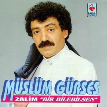 Bir Bilebilsen by Müslüm Gürses - album cover