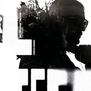 Die braune Tasche (Frizzo remix)