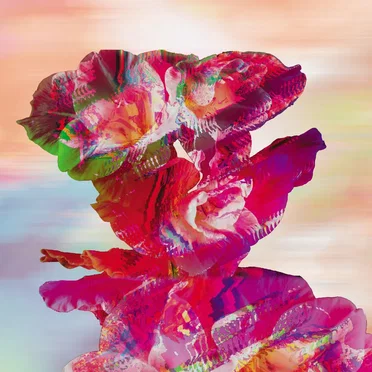 Bloom