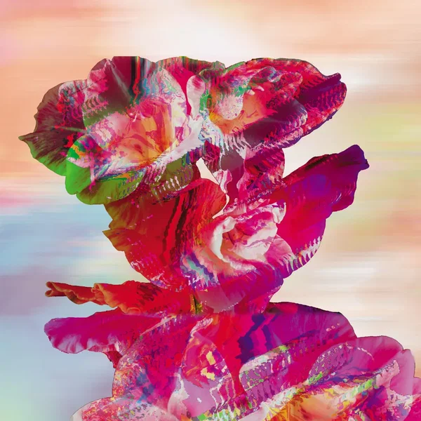 Bloom