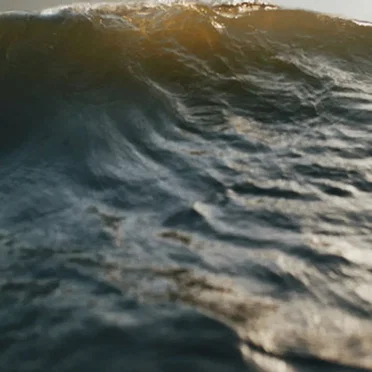 Oceans: A Journey