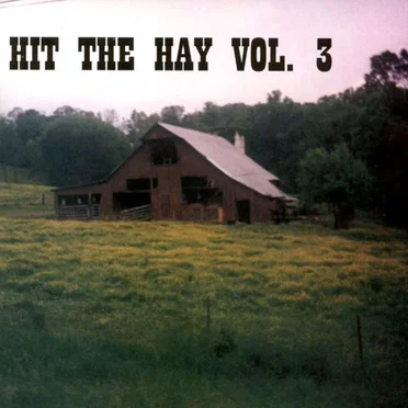 Hit the Hay Vol. 3 by Various Artists - album cover