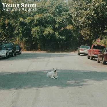 Autumn August by Young Scum - album cover