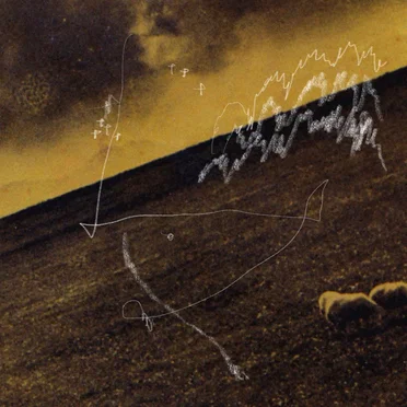 A Tortoise Walks in the Rings of Saturn
