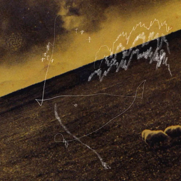 A Tortoise Walks in the Rings of Saturn