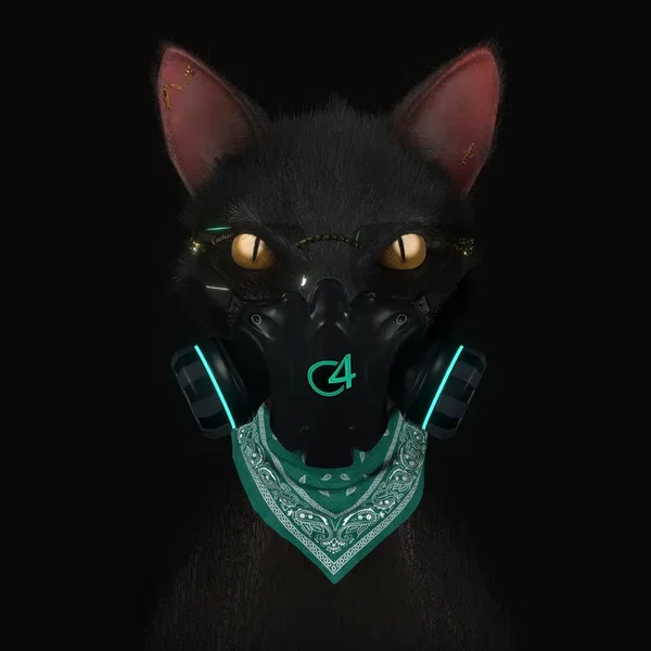Gato de noche