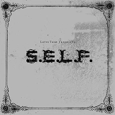 The Art & War of Misanthropic Philanthropy by S.E.L.F. - album cover