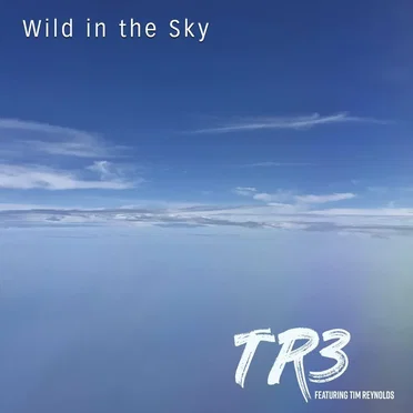 Wild in the Sky