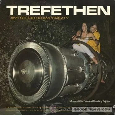 Am I Stupid or Am I Great by Tom Trefethen - album cover
