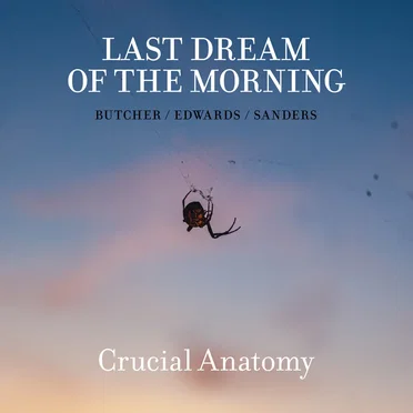 Crucial Anatomy by Last Dream of the Morning - album cover