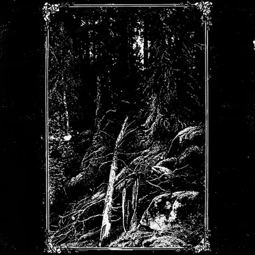 Heralded by Winter by Lipitoare - album cover