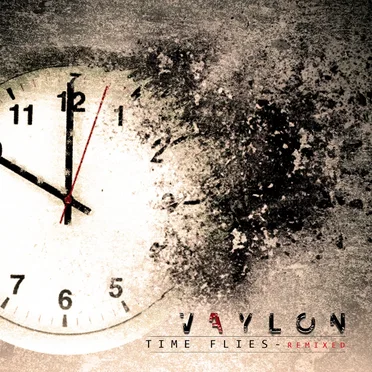 Time Flies (remixed)