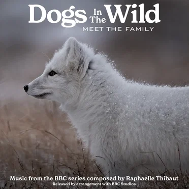 Dogs In The Wild: Meet The Family (Music from the BBC Series) by Raphaelle Thibaut - album cover