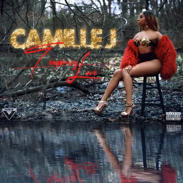 Temporary Love by Camille J - album cover