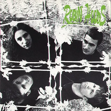 Robin Hoods by Robin Hoods - album cover