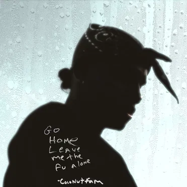 Go Home Leave Me the Fuck Alone by Coconutfam - album cover