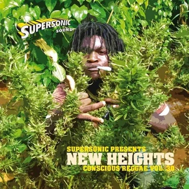 Conscious Reggae Vol 30 by Various Artists - album cover