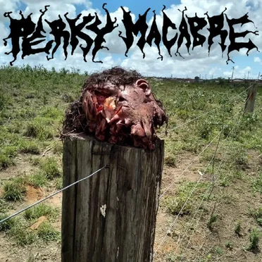 Spoiled Defragmentation by Perky Macabre - album cover