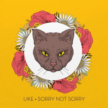 Sorry Not Sorry