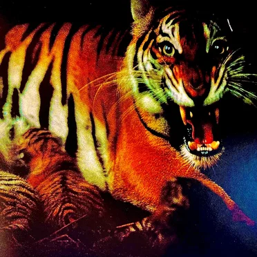 This Music Is Fucking Intense