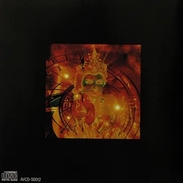 Maharaja Night Vol.12: Non-Stop Disco Mix by Various Artists - album cover