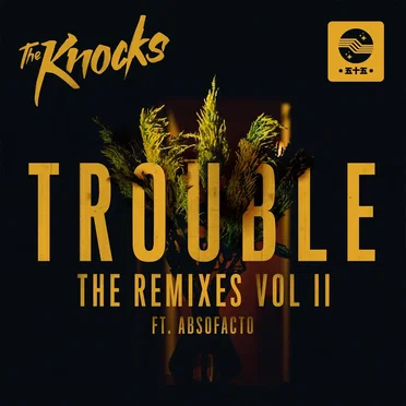 TROUBLE (The Remixes, Pt. II)