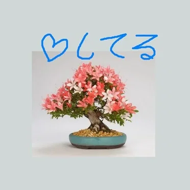 ♡ してる