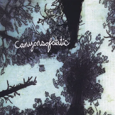 The Disappearance by Canyons of Static - album cover