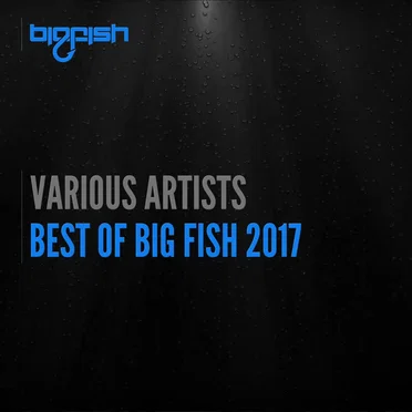 Best of Big Fish 2017 by Various Artists - album cover