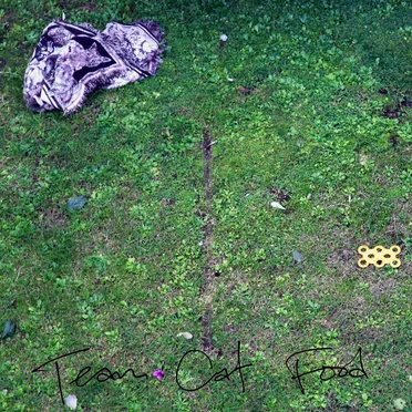 Collected Ambient Tracks by Team Cat Food - album cover