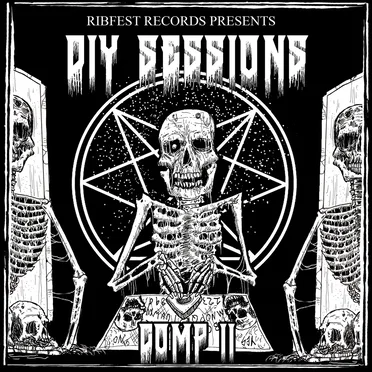 DIY Sessions Comp #2 by Various Artists - album cover